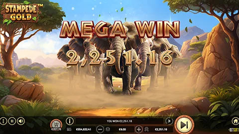 Jouer sur les meilleures machines à sous du moment sur le Casino Tortuga